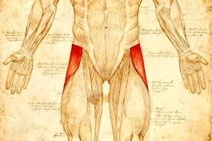hip pain