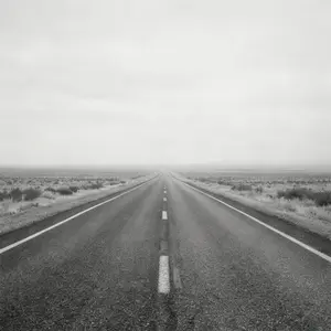 M.E.S. road graphic.png