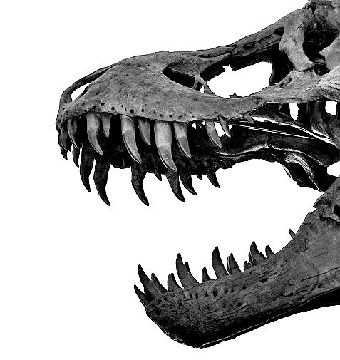 Waist to height ratio — is it time to banish the BMI dinosaur?